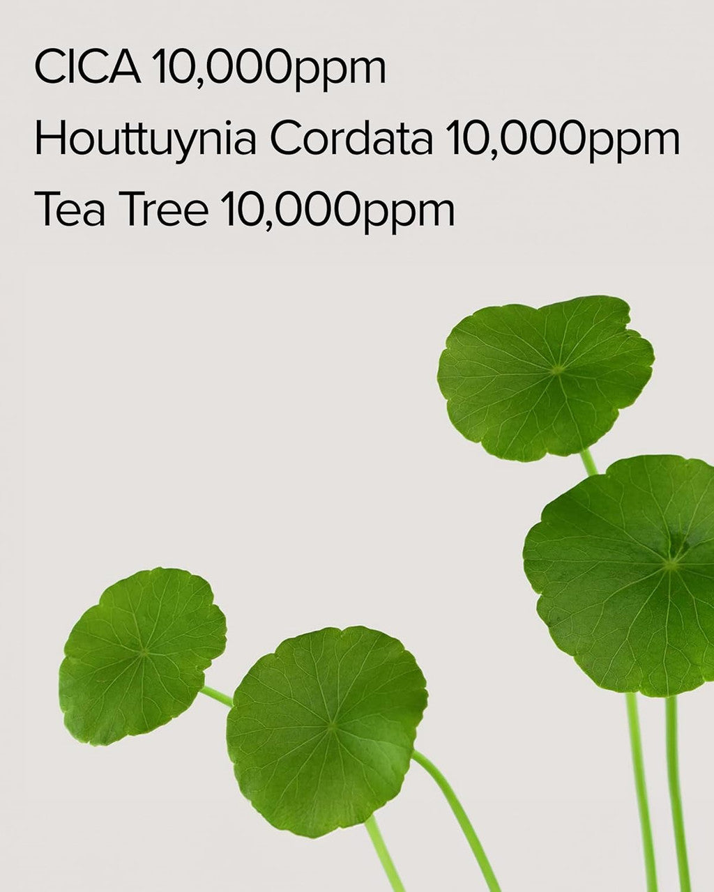 MARY & MAY CICA Houttuynia Tea Tree Calming Mask (30Sheets)