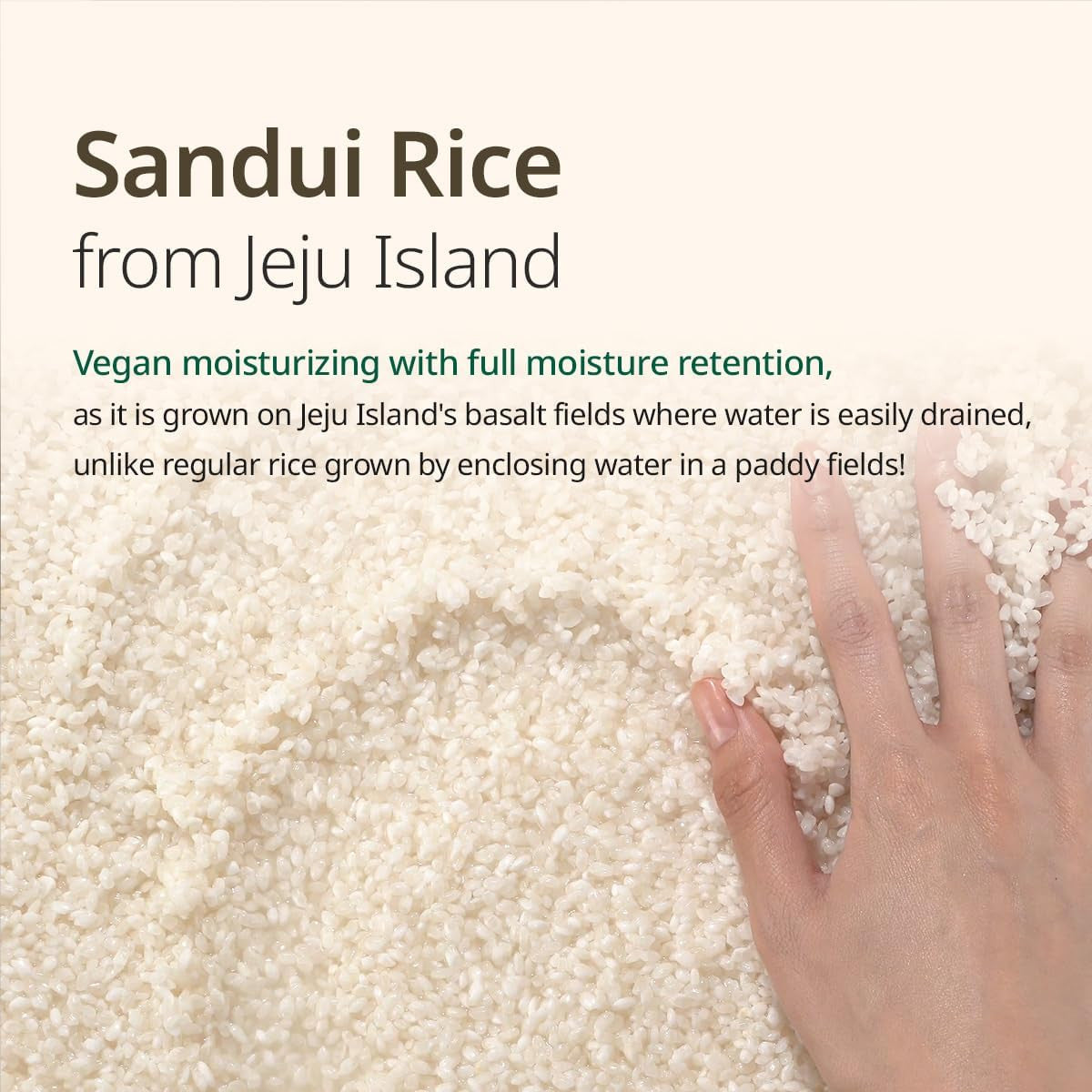[GOODAL] Vegan Rice Milk Moisturizing Toner (8.45 oz)