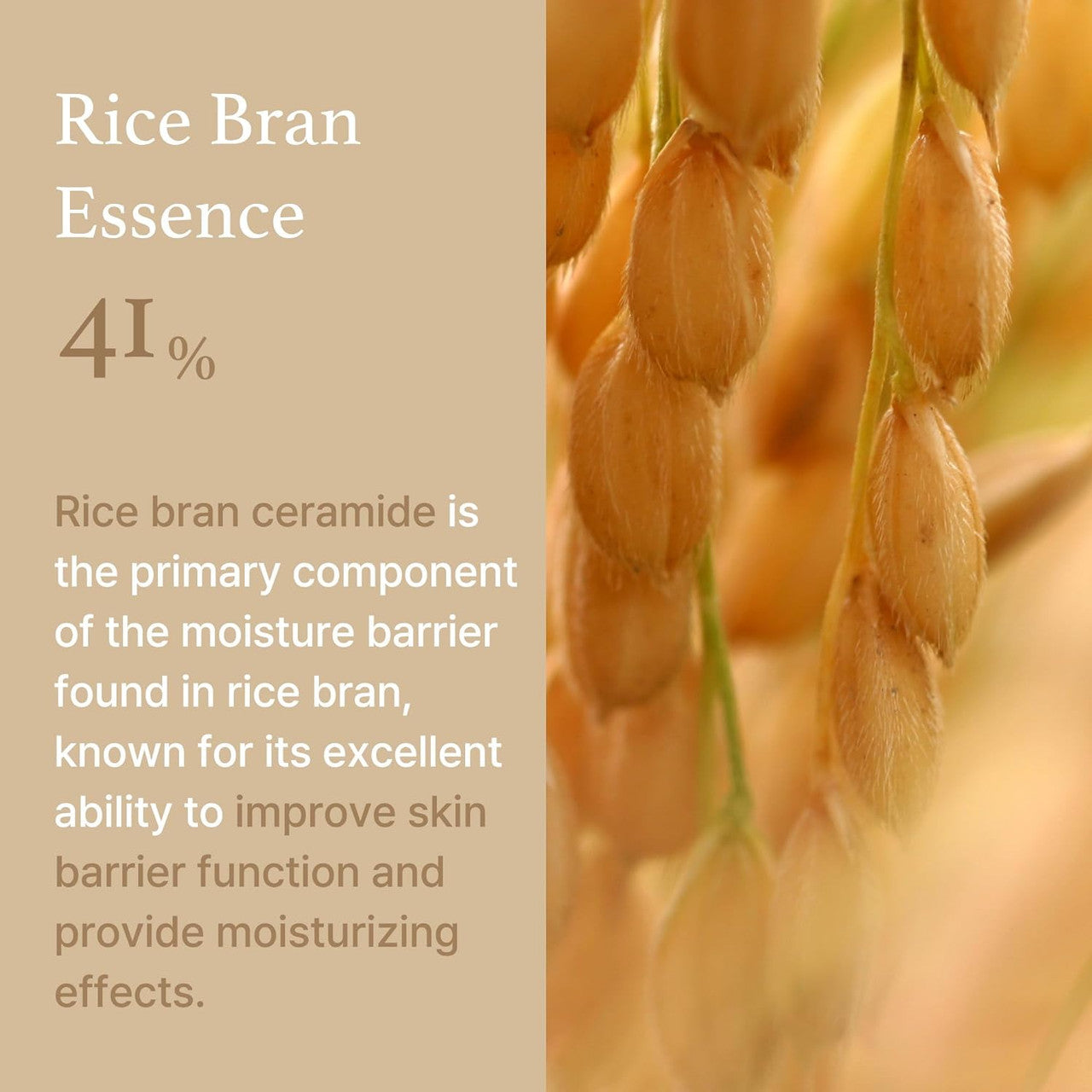 Im From Rice Cream (1.76 oz)