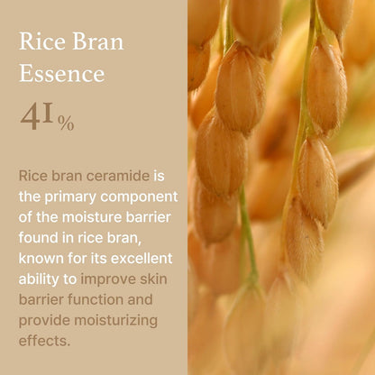 Im From Rice Cream (1.76 oz)