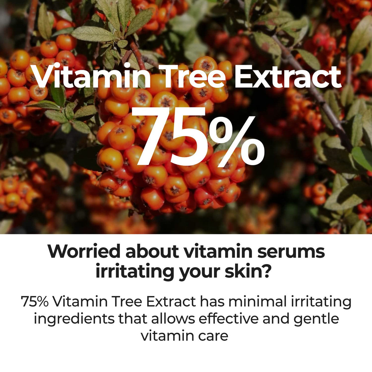 NUMBUZIN No.5 Goodbye Blemish Serum (1.69 oz)