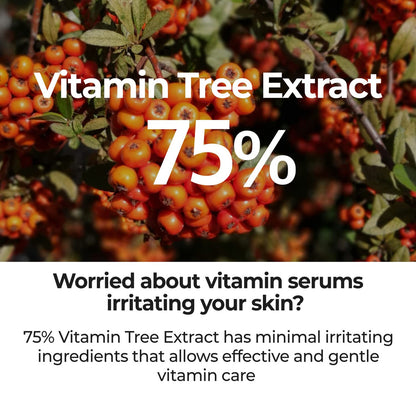 NUMBUZIN No.5 Goodbye Blemish Serum (1.69 oz)