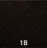 1B