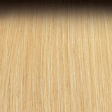 DR4/California Blonde
