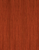Ginger