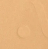 06 Tan Warm Olive