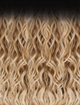 DR2/Frosted Ash Blonde