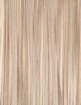 Frosted Ash Blonde