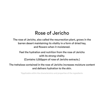 [Abib] Collagen Eye Patch Jericho Rose Jelly (60 Patches)