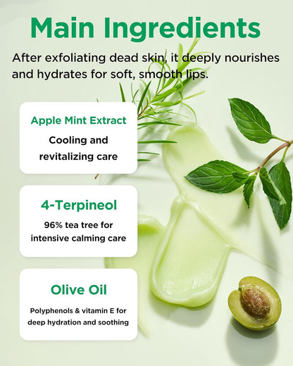 TOCOBO Mint Cooling Lip Mask  (20ml)