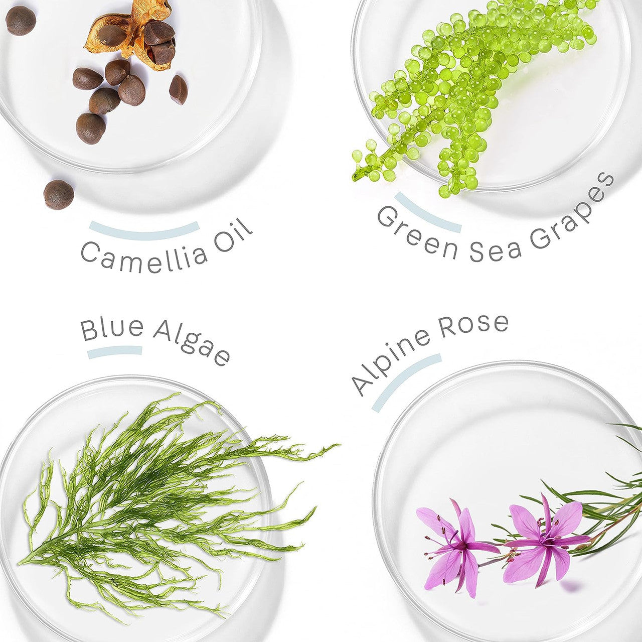 NatureLab Tokyo Perfect Texture Curl Conditioner (11.5 oz)