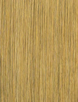 Caramel Blonde