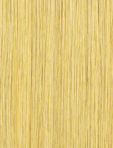 Light Golden Blonde