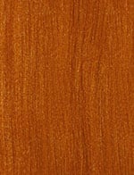 swatch_image - SENSATIONNEL - Color AMBER