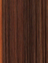 Balayage Cinnamon Latte