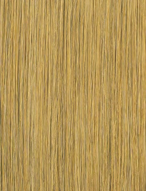 swatch_image - SENSATIONNEL - Color CARAMEL BLONDE