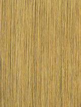 Caramel Blonde