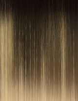 DRFF2/Bronde Balayage