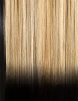 FF 1B/Dipped Blonde