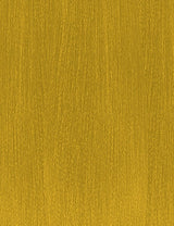 Forsythia