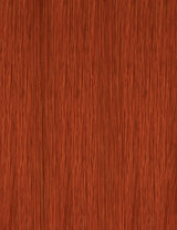 Ginger
