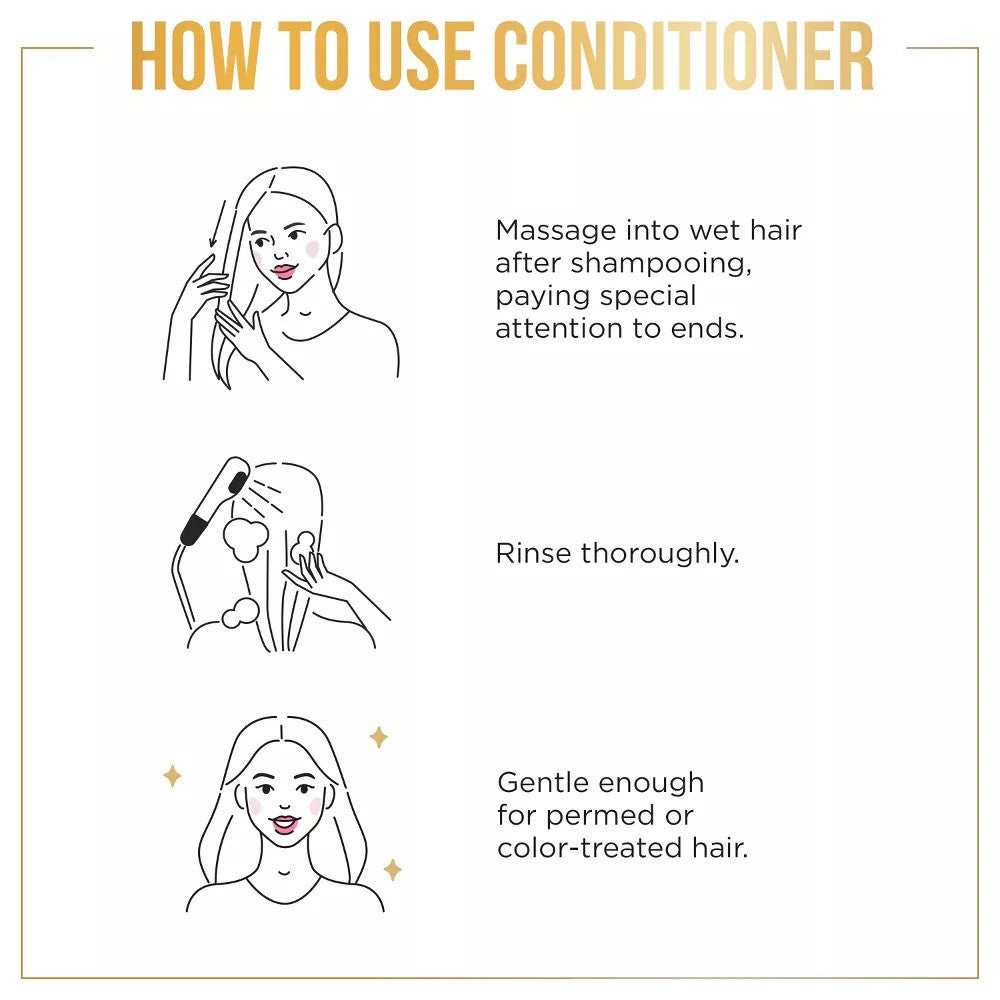 PANTENE Pro-V Curl Perfection Shampoo (12 oz)