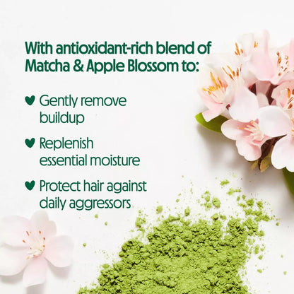 Not Your Mother's Matcha Green Tea & Wild Apple Blossom Nutrition Conditioner (15.2 oz)