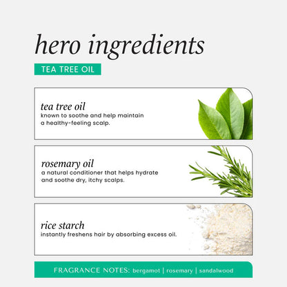 Hask Tea Tree Oil Scalp Detox Dry Shampoo (8.1oz)
