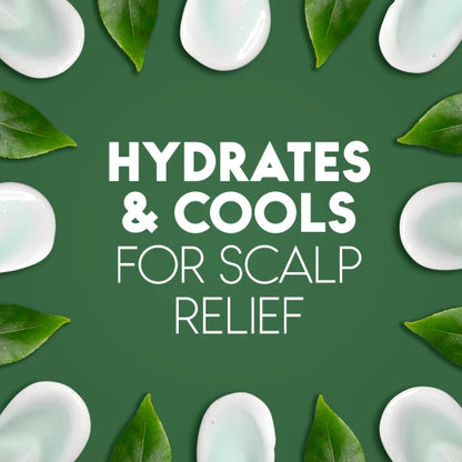 Head and Shoulders 2-In-1 Tea Tree Oil Dandruff Shampoo (12.5 oz)