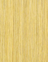 Light Golden Blonde