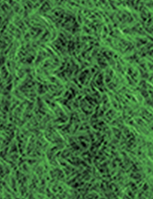 swatch_image - OUTRE - Color Lime Green
