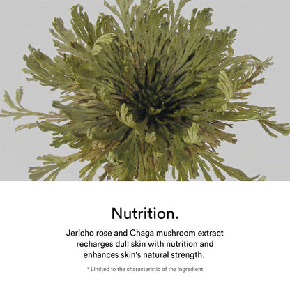 [Abib] Jericho Rose Crème Nutrition Tube (2.53 oz)