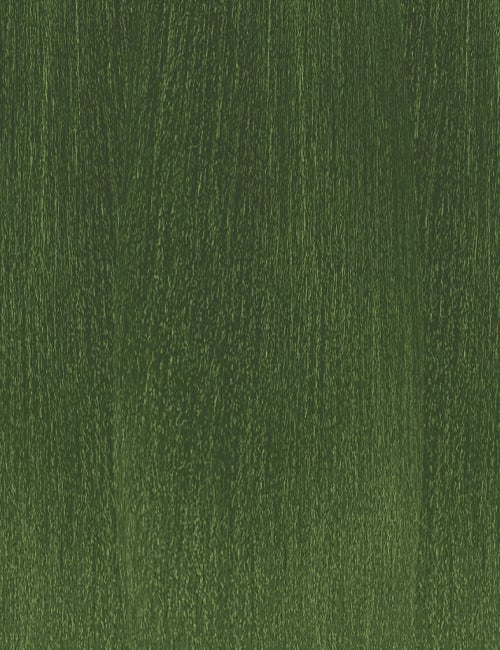 swatch_image - OUTRE - Color Olive