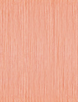 Papaya Pastel