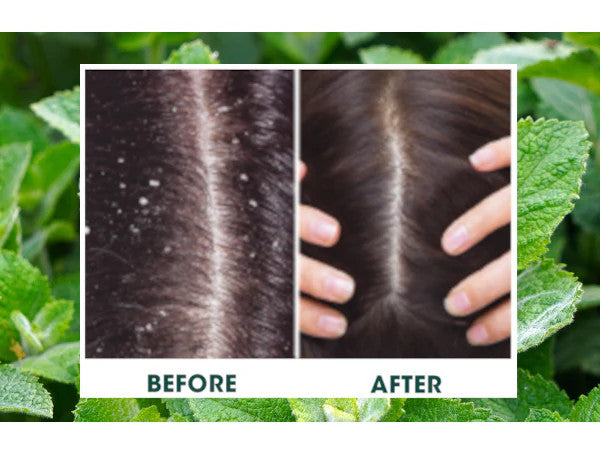 Difeel Rosemary & Mint Foaming Mousse (8oz)