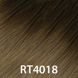 RT4018