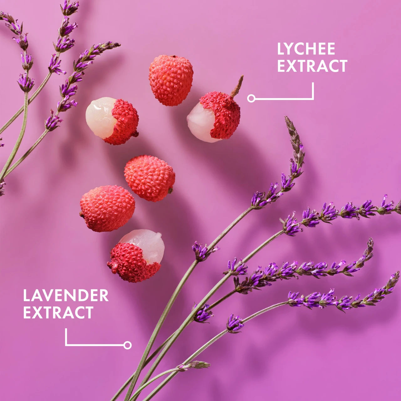 Mielle Lavender & Lychee Daily Scalp Moisturizing Lotion (4oz) - product image 9