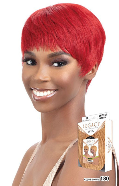 SHAKE N GO LEGACY Synthetic HD Lace Front Wig - BRISTOL