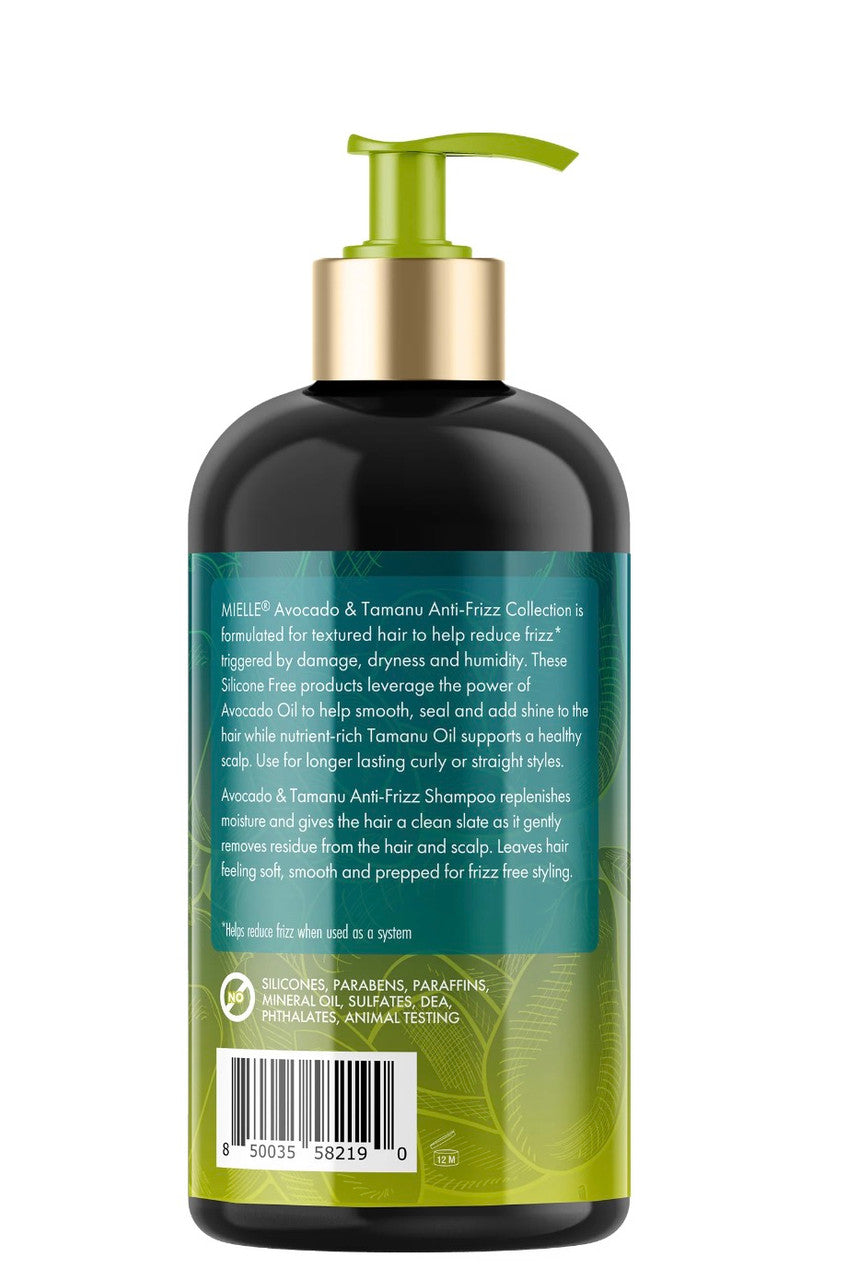 Mielle Avocado & Tamanu Anti-Frizz Shampoo