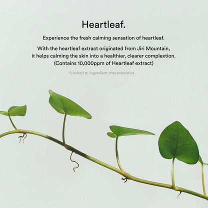 [Abib] Collagen Gel Mask Heartleaf Jelly (1 sheet)