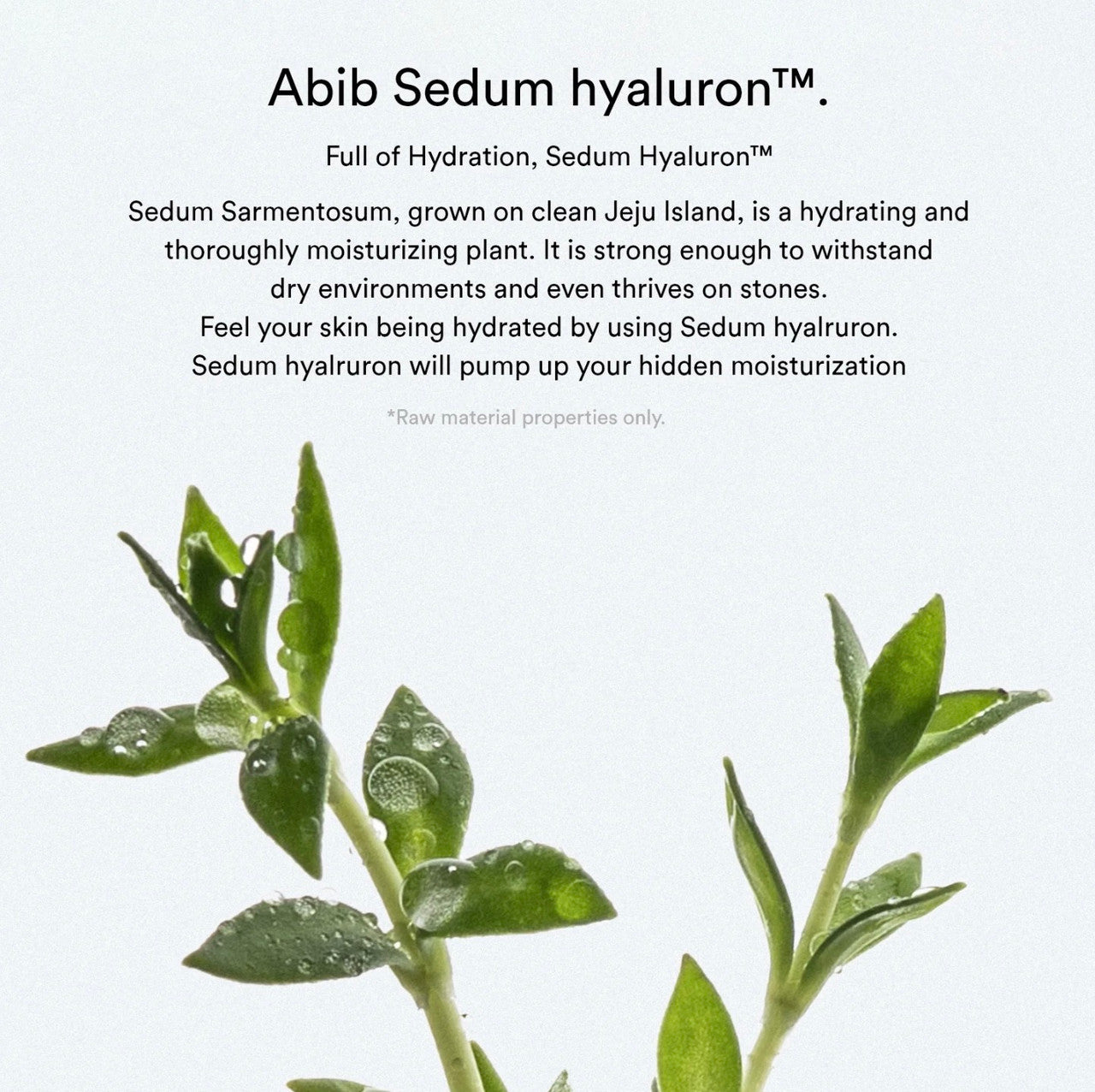[Abib] Sedum Hyaluron Creme Hydrating Pot (2.7 oz)