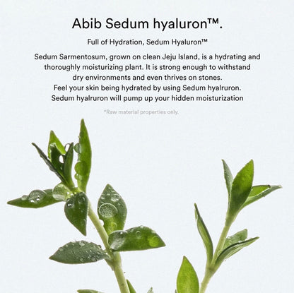 [Abib] Sedum Hyaluron Creme Hydrating Pot (2.7 oz)