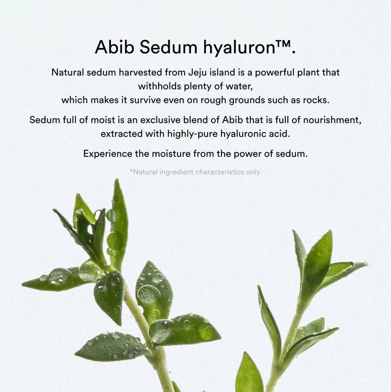 [Abib] Collagen Gel Mask Sedum Jelly (1 sheet)