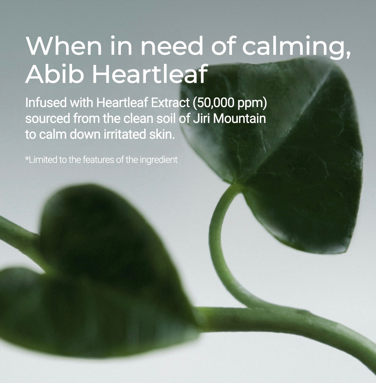 [Abib] Heartleaf Calming Toner Skin Booster (6.76 oz)