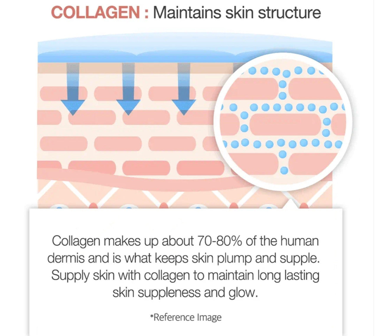 MEDICUBE Triple Collagen Cream 4.0 (1.69 oz)
