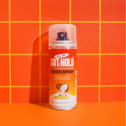 ALL DAY GOT HOLD Sheen Spray