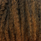 T1B/27 (Off Black & Honey Blonde)