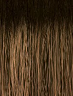 swatch_image - SENSATIONNEL - Color TH2/27