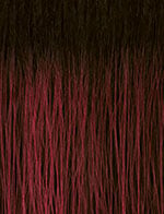 swatch_image - SENSATIONNEL - Color TH2/BG