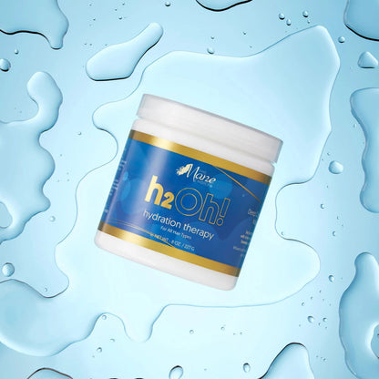 The Mane Choice H2Oh! Hydration Therapy [Deep Conditioning Masque]